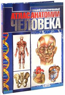 Большой иллюстрированный атлас анатомии человека обложка книги Большой иллюстрированный атлас анатомии человека обложка книги