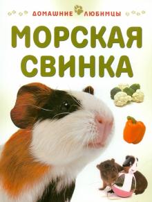 Мэтью Рейнер - Морская свинка обложка книги Мэтью Рейнер - Морская свинка обложка книги