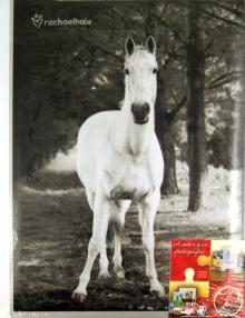 Фотоальбом "Animals black&white" (13801 LM-SA10) Фотоальбом "Animals black&white" (13801 LM-SA10)
