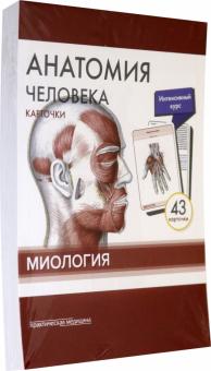 Сапин, Николенко, Тимофеева - Анатомия человека. Карточки. Миология обложка книги Сапин, Николенко, Тимофеева - Анатомия человека. Карточки. Миология обложка книги