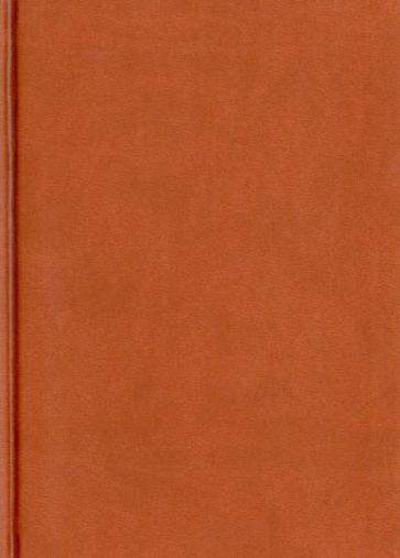 Ежедневник датированный "Туксон". 2014 год. Кирпичный (79125931) Ежедневник датированный "Туксон". 2014 год. Кирпичный (79125931)