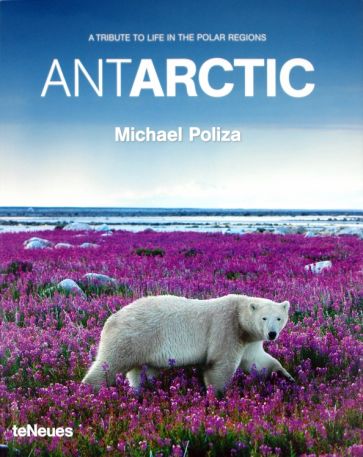 Poliza, Gruenberger - Antarctic обложка книги Poliza, Gruenberger - Antarctic обложка книги