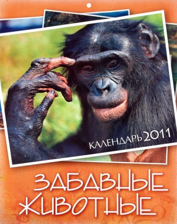 Календарь 2011. "Забавные животные" Календарь 2011. "Забавные животные"