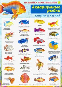 Аквариумные Рыбки Купить В Самаре Адреса Магазинов