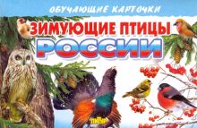 Карточки Зимующие птицы России
