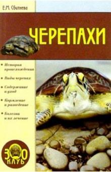 Евгения Сбитнева - Черепахи обложка книги Евгения Сбитнева - Черепахи обложка книги
