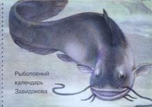 Рыболовный календарь Завидонова