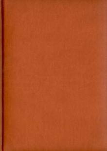Ежедневник датированный "Туксон". 2014 год. Кирпичный (72325931) Ежедневник датированный "Туксон". 2014 год. Кирпичный (72325931)