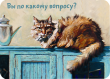 Магнит "Вы по какому вопросу?"