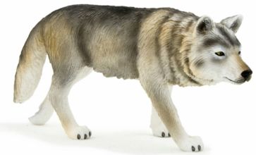 Волк в охоте (Timber Wolf Standing) (387026) Волк в охоте (Timber Wolf Standing) (387026)
