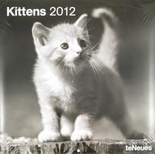 Календарь на 2012 год "Котята" (5094-7) Календарь на 2012 год "Котята" (5094-7)