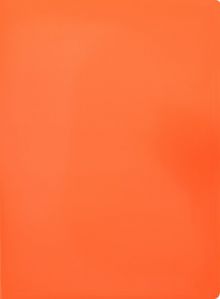 Папка с пружинным скоросшивателем А4 "Neon" оранжевая (DNE07POR)