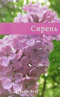 Ирина Окунева - Сирень обложка книги Ирина Окунева - Сирень обложка книги