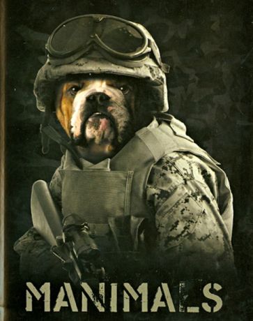 Тетрадь в клетку Manimals, 48 листов, А5 (36228) Тетрадь в клетку Manimals, 48 листов, А5 (36228)