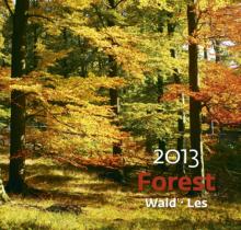 Календарь 2013. Forest/Лес Календарь 2013. Forest/Лес