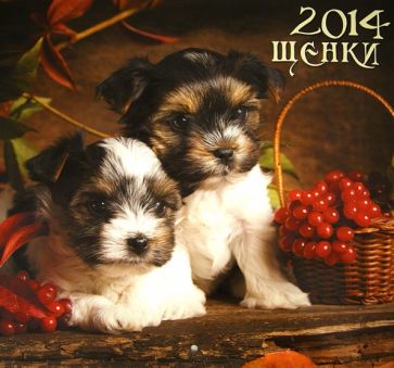 Календарь 2014 "Щенки" Календарь 2014 "Щенки"