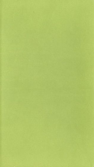 Еженедельник датированный "Туксон". 2014 год. Светло-зеленый (72125828) Еженедельник датированный "Туксон". 2014 год. Светло-зеленый (72125828)