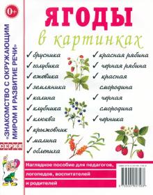 Ягоды в картинках. Наглядное пособие для педагогов, логопедов, воспитателей и родителей обложка книги Ягоды в картинках. Наглядное пособие для педагогов, логопедов, воспитателей и родителей обложка книги