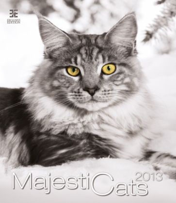 Календарь 2013: Majestic Cats/Кошки Календарь 2013: Majestic Cats/Кошки