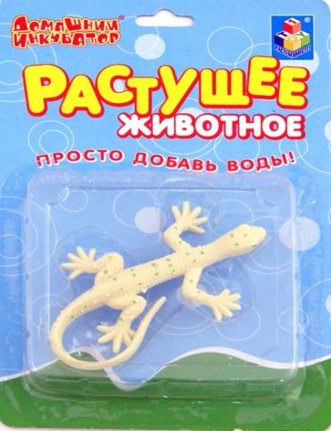 Домашний инкубатор. Ящерицы-2, ассортимент (Т53562) Домашний инкубатор. Ящерицы-2, ассортимент (Т53562)