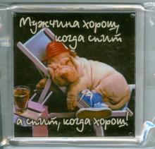 Магнитные подарочки. Мужчина хорош, когда спит, а спит, когда хорош! Магнитные подарочки. Мужчина хорош, когда спит, а спит, когда хорош!