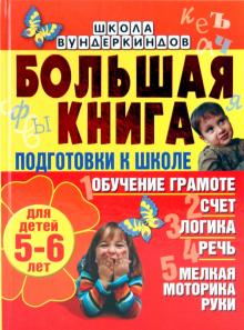 Большая книга подготовки к школе для детей 5-6 лет. Обучение грамоте, счет, логика, речь