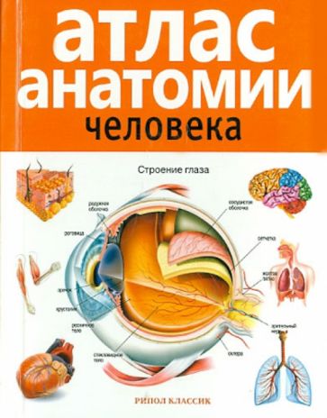 Атлас анатомии человека обложка книги Атлас анатомии человека обложка книги