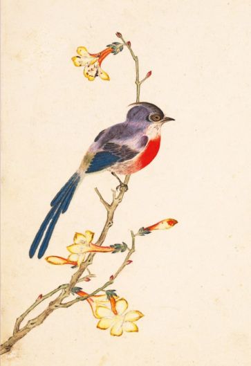Птицы, насекомые и цветы. Синяя птичка, 18 листов купить | ISBN  4627172176096 | Лабиринт