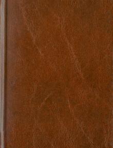 Ежедневник "Коричневый" (ЕБ1161921) Ежедневник "Коричневый" (ЕБ1161921)