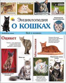 Ярослава Соколова - Энциклопедия о кошках обложка книги Ярослава Соколова - Энциклопедия о кошках обложка книги