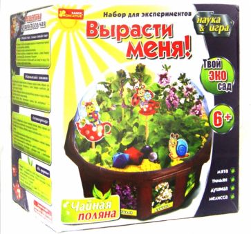 Чайная поляна (15114006Р) Чайная поляна (15114006Р)