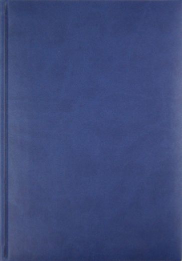Ежедневник-2012, синий (72325481) Ежедневник-2012, синий (72325481)