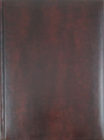 Ежедневник-2012, коричневый (723106278) Ежедневник-2012, коричневый (723106278)
