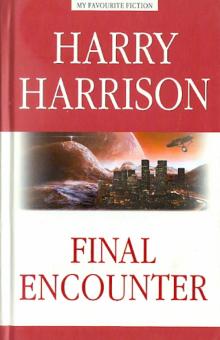 Final Encounter