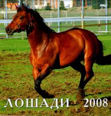 Календарь 2008 Лошади (30704) Календарь 2008 Лошади (30704)