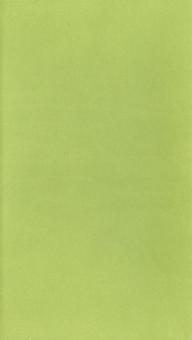 Еженедельник датированный "Туксон". 2014 год. Светло-зеленый (72125828) Еженедельник датированный "Туксон". 2014 год. Светло-зеленый (72125828)