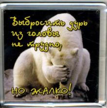 Магнитные подарочки. Выбросить дурь из головы не трудно, но жалко! Магнитные подарочки. Выбросить дурь из головы не трудно, но жалко!