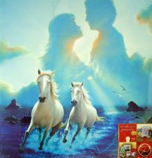 Фотоальбом "Romance" (LM-4R500RB/12149) Фотоальбом "Romance" (LM-4R500RB/12149)