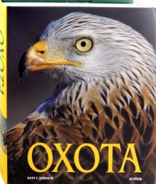 Курт Блюхель - Охота обложка книги Курт Блюхель - Охота обложка книги