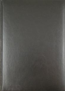 Ежедневник-2012, серый (723106268) Ежедневник-2012, серый (723106268)