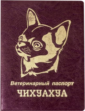 Обложка на ветеринарный паспорт Чихуахуа, бордовая обложка книги