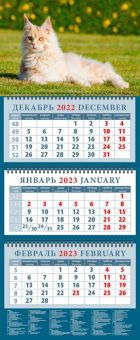 Календарь на 2023 год. Год кота. Приятно полежать на солнышке