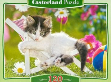 Puzzle-120 MIDI "Котенок" (В-12671) Puzzle-120 MIDI "Котенок" (В-12671)