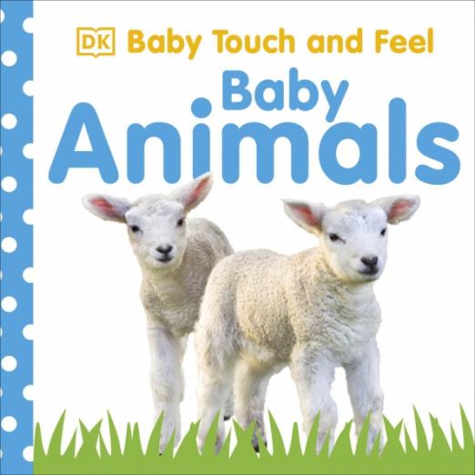 Baby Animals - 1