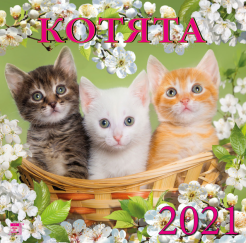 Котята Новые Серии 2022 Года Котята Новые Серии 2022 Года
