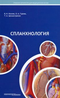 Спланхнология. Лекции по анатомии человека