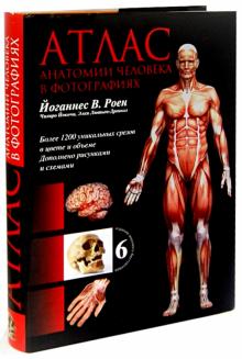 Роен, Йокочи, Лютьен-Дреколл - Иллюстрированный атлас. Анатомия обложка книги Роен, Йокочи, Лютьен-Дреколл - Иллюстрированный атлас. Анатомия обложка книги
