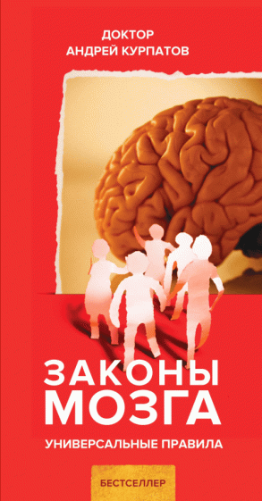 Андрей Курпатов - Законы мозга обложка книги Андрей Курпатов - Законы мозга обложка книги