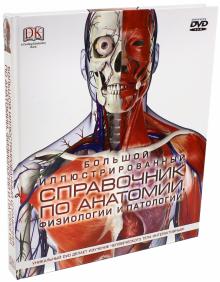 Шпаргалка: Основные понятия анатомии и физиологии человека