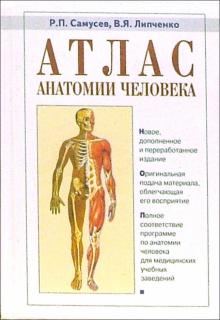 Атлас анатомии человека: Учебное пособие для студентов сред. медицинских учебных заведений